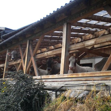 Weberhof Villa Trins Buitenkant foto
